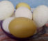 8 Solid Ways You Can Prevent Abnormalities In Egg, And Improve Shell Egg Quality.