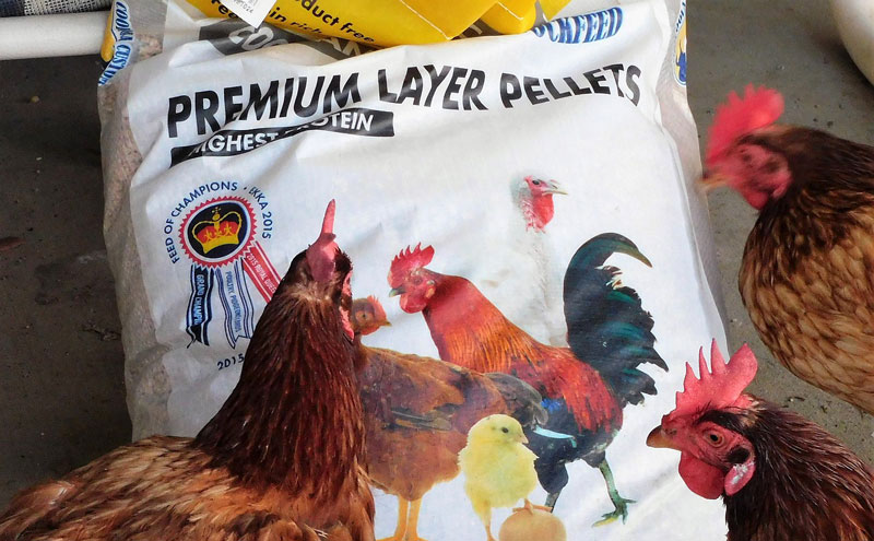 A well formulated poultry feeds
