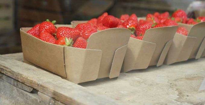 farm rebranding strategies