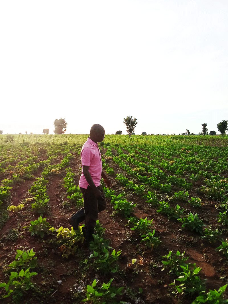 benefits of scouting your farm