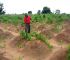 The Farmer’s Secret Weapon: 4 Unbeatable Benefits of Scouting Your Farm for Pests and Diseases