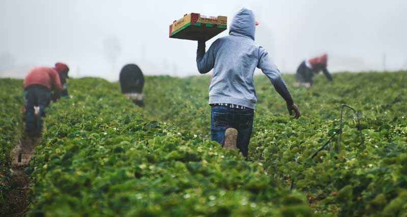 worker theft