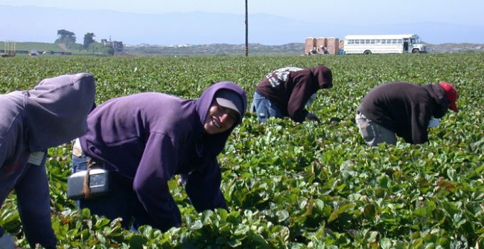 farm workers