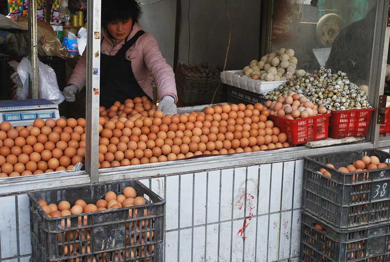 egg glut sales of eggs