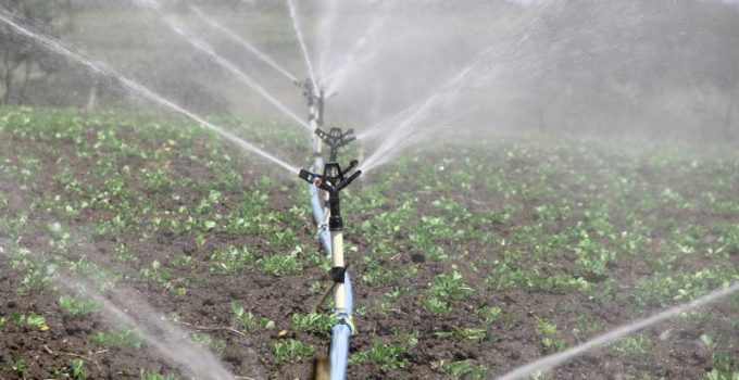 between drip and sprinkler irrigation
