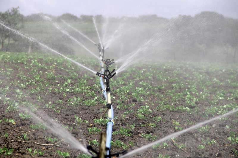 between drip and sprinkler irrigation