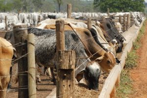 10 Profitable Farm Businesses Young People Are Ignoring