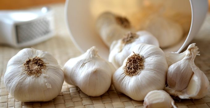 benefits of feeding garlic, tumeric and moringa