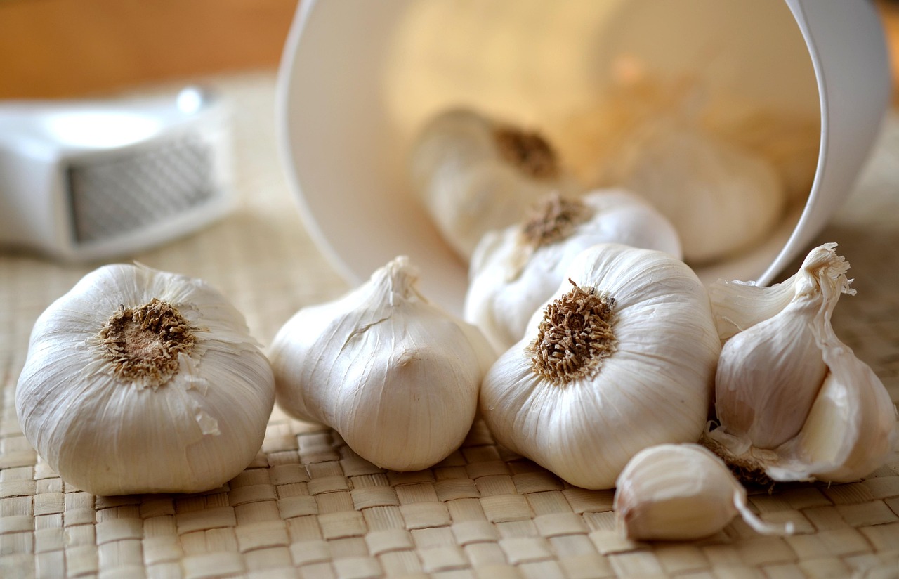 benefits of feeding garlic, tumeric and moringa