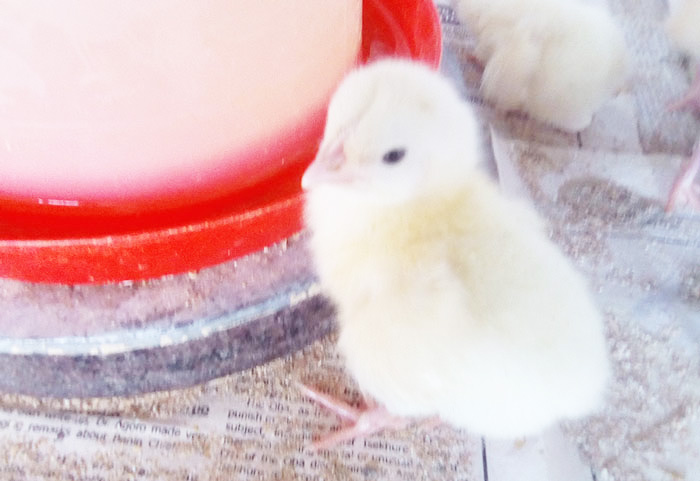 too many growth boosters