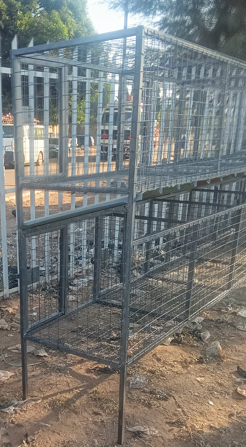 Constructing a Rabbit Hutch Using Wire Gauze and Rod