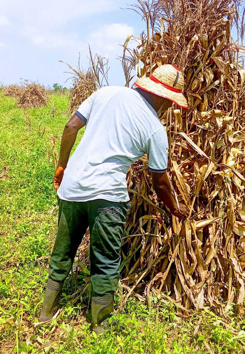 Farmers can Reduce Stress 