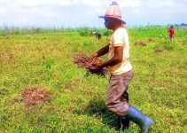 7 Practical Ways Farmers Can Reduce Stress without Leaving the Farm