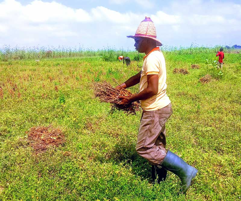 Farmers can Reduce Stress 