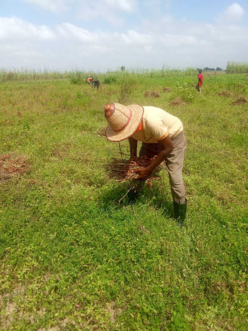 Farmers can Reduce Stress 
