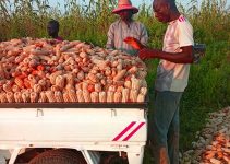 How to Farm Smart, Not Hard: To Avoid Burnout in Farming with 7 Simple Daily Habits That Protect Your Energy and Strength