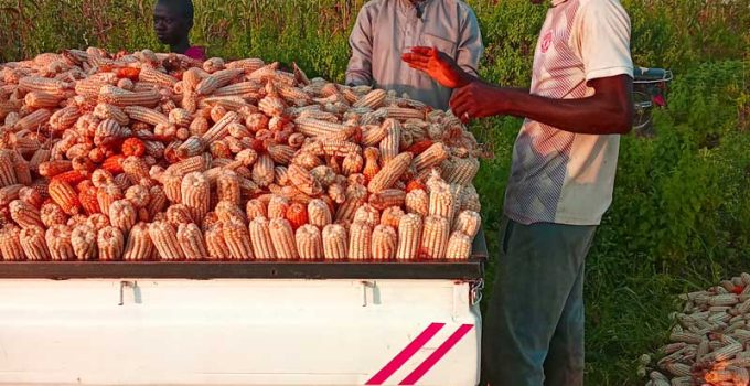 avoid burnint in farming