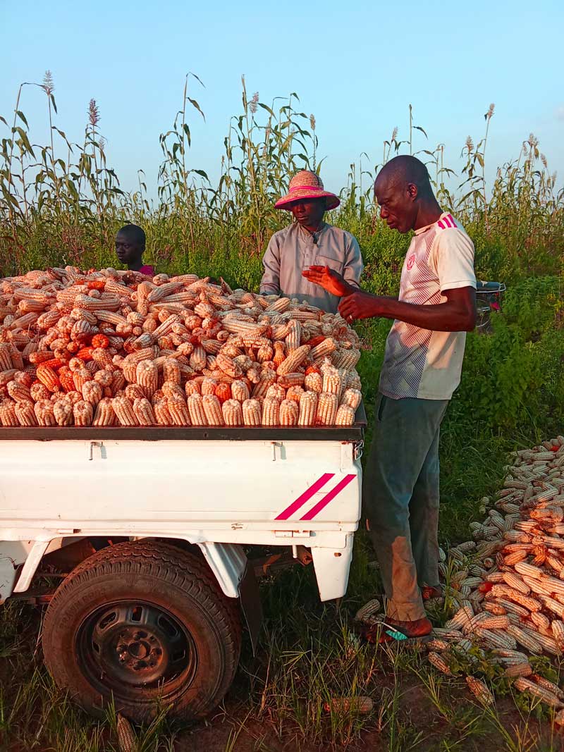 avoid burnint in farming