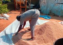 Commercial Feed vs. Homemade Feed: What I observed as a Small to medium-Scale Poultry Farmer