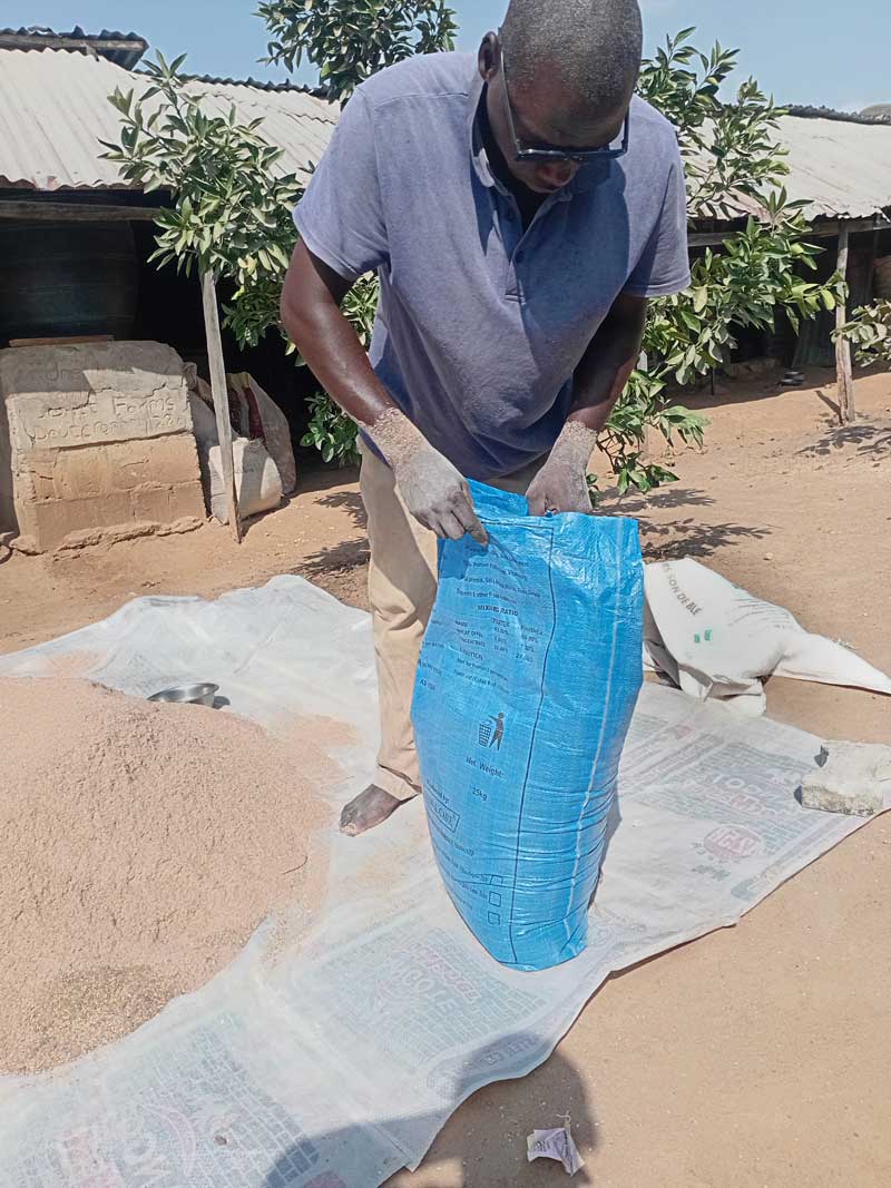 Commercial Feed vs. Homemade Feed