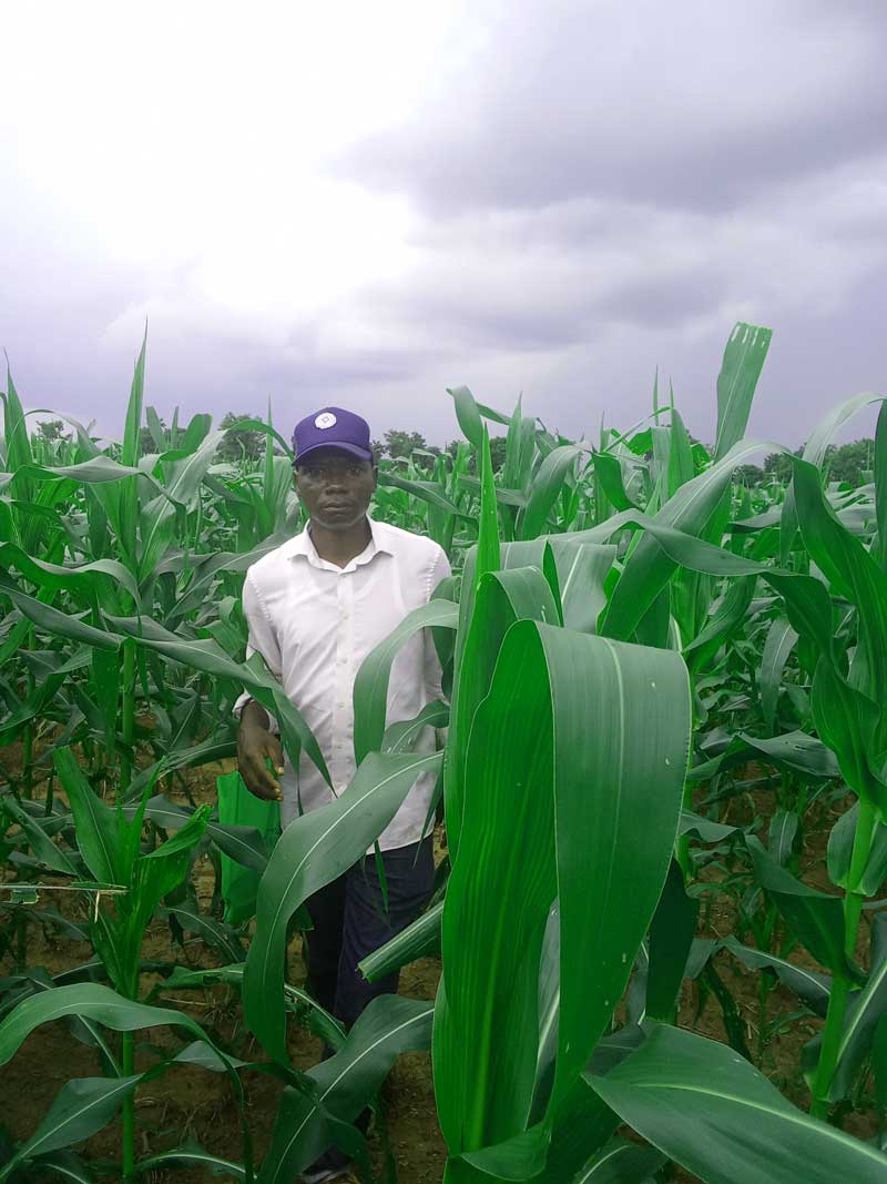 on how to avoid burnout in farming