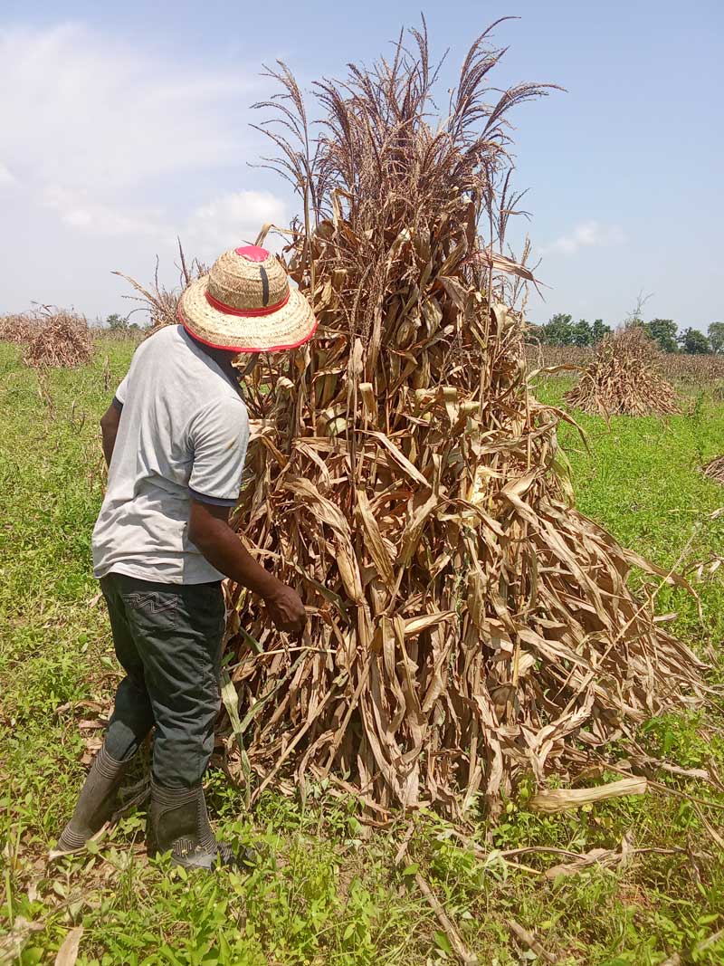 avoid burnout in farming