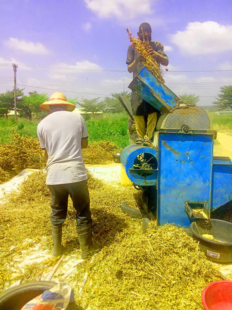 avoid burnout in farming