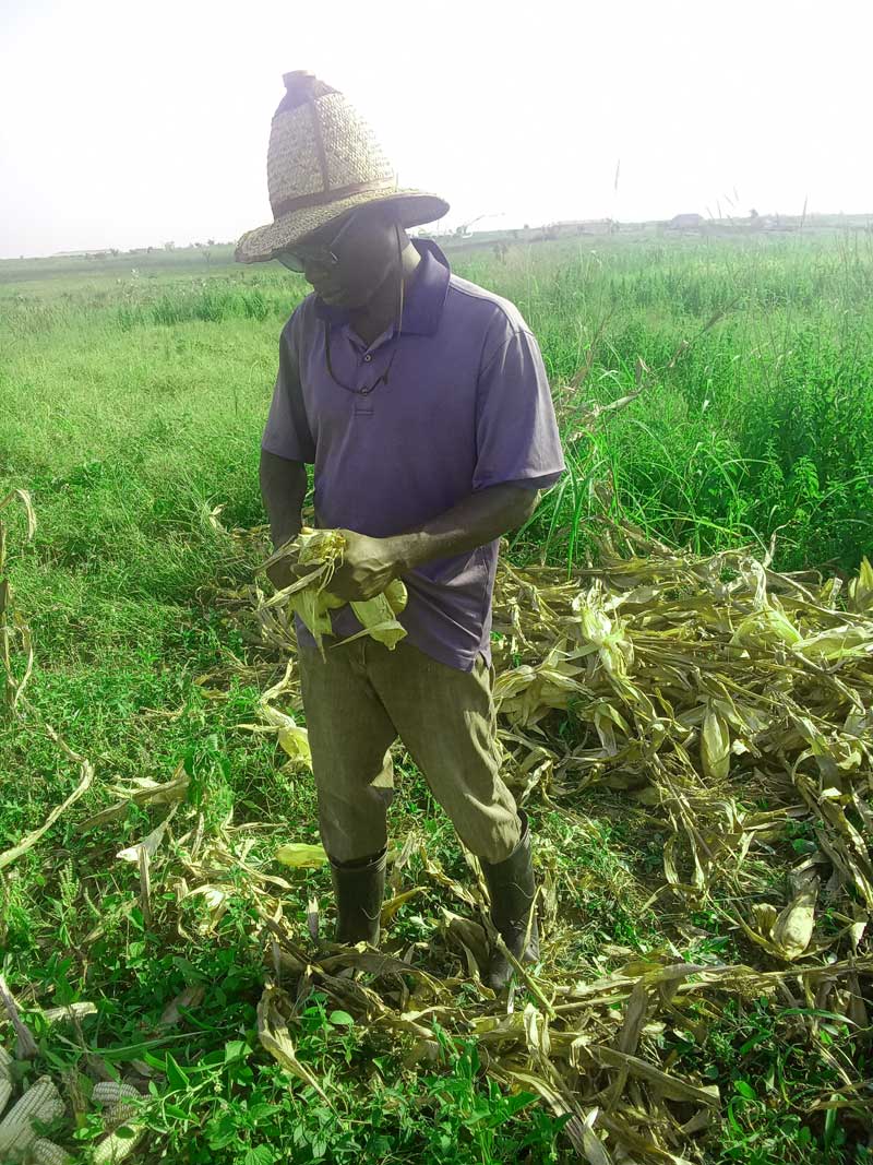 to avoid burnout in farming