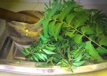 Raise Stronger, Healthier Birds the Organic Way: 6 Proven Benefits of Neem Leaves Every Poultry Farmer Should Know