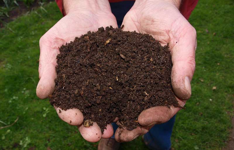 compost manure in compost production
