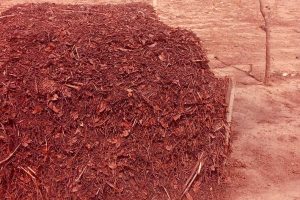 Turn Your Farm Waste into Black Gold: A Step-by-Step Compost Production Guide Every Farmer Can Follow