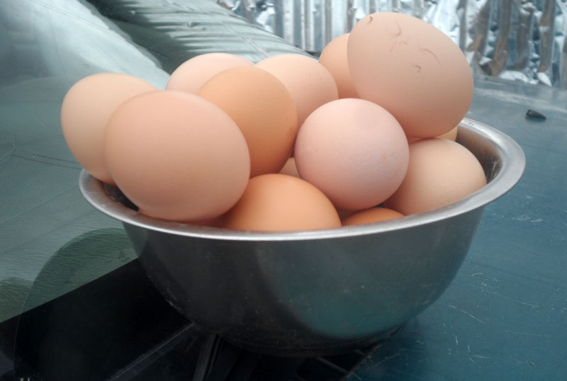 Health Habits Every Farmer must adopt 