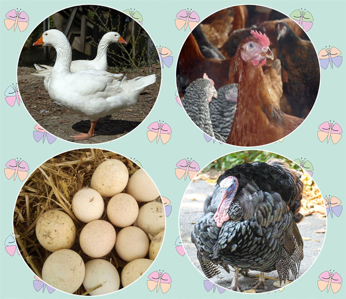 Making Money through Farming