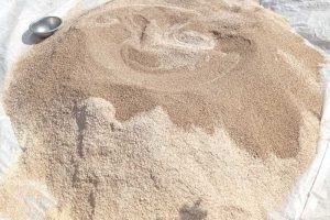 9 Smart Survival Strategies Farmers Are Using to Stay Profitable