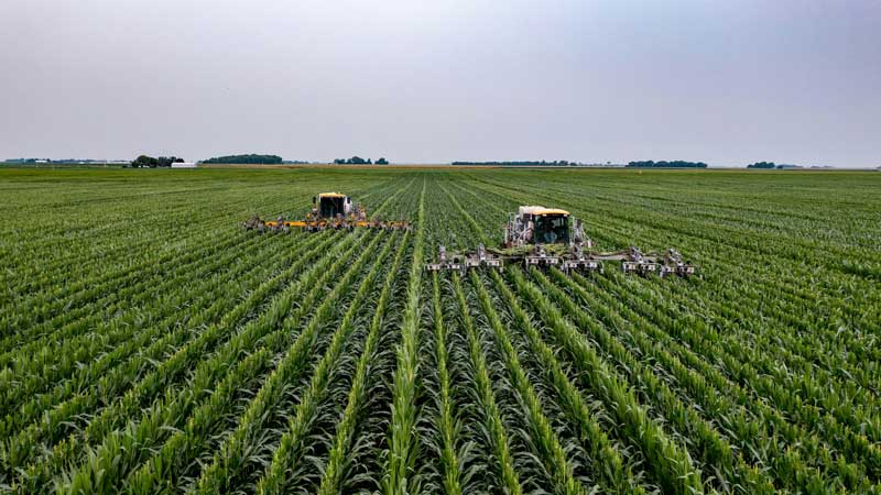 farm loan used to cultivate a vast field 