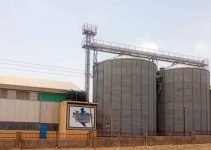 Why Your Poultry Farm Is Struggling While Feed Companies Are Cashing Out, 4 Hard Truths Every Farmer Must Face