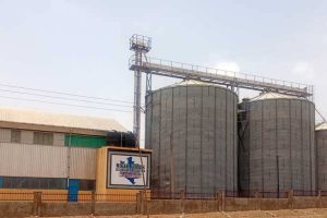 Why Your Poultry Farm Is Struggling While Feed Companies Are Cashing Out, 4 Hard Truths Every Farmer Must Face