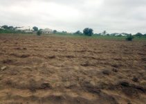 Don’t Plant that Crop Yet! The Best Time to Apply Organic Manure and 6 Land Preparation Mistakes Ruining Farmers’ Yields
