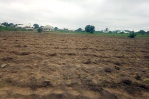 Don’t Plant that Crop Yet! The Best Time to Apply Organic Manure and 6 Land Preparation Mistakes Ruining Farmers’ Yields