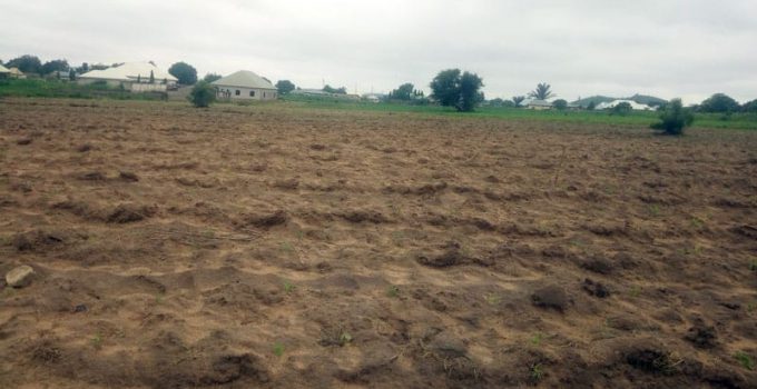 best time to apply organic manure when there is moisture in the soil