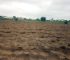 Don’t Plant that Crop Yet! The Best Time to Apply Organic Manure and 6 Land Preparation Mistakes Ruining Farmers’ Yields
