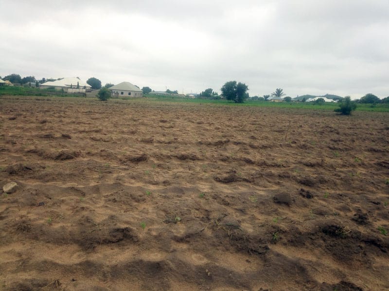 best time to apply organic manure when there is moisture in the soil
