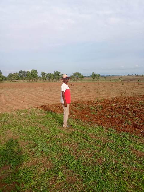 farm land inspection in best time to apply organic manure