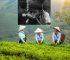 Working under the Sun: Dehydration and Heat Stress in farmers, 10 Simple Ways Farmers Can Protect Themselves.