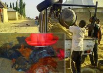 Chicken Droppings: Nature’s Gold! 3 Proven Ways to Source It for Bigger Harvests and Organic Farming Success This Season