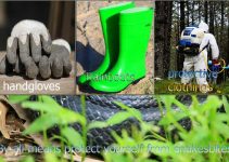 Healthy Farmer, Healthy Farm: 12 Farm Health and Safety Practices Every Farmer Must Know