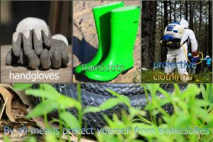 Healthy Farmer, Healthy Farm: 12 Farm Health and Safety Practices Every Farmer Must Know