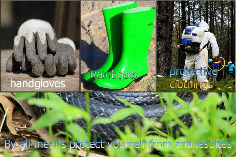 Farm Health and Safety