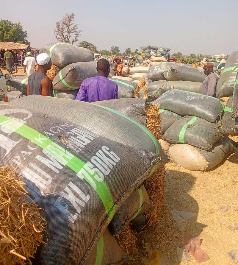 Cheap rabbit feed: Buying hay in bulk when is cheap at the livestock open market is a wise investment and decision