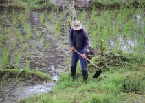 10 Common Farmer Health Problems and How to Prevent Them: A Practical Guide to Staying Healthy on the Farm